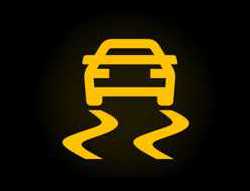 Traction Control Warning Light